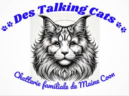 Des Talking Cats