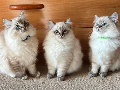 De La Vallée de la Lèze