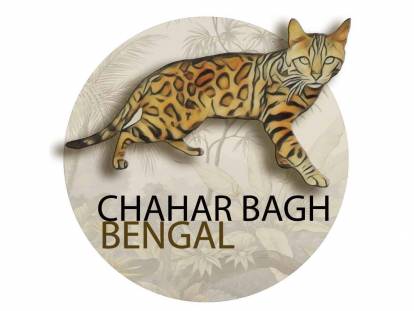 Chahar Bagh Bengal