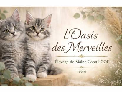 L’Oasis des Merveille
