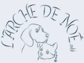 Arche de Noe Refuge pour chat Association de protection