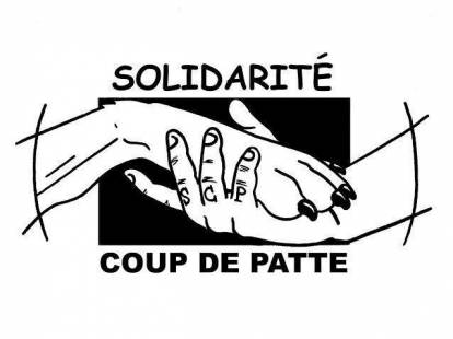 Solidarite Coup De Patte Scp Refuge Pour Chat Association De Protection Animale A Rouen