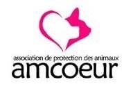 Amcœur