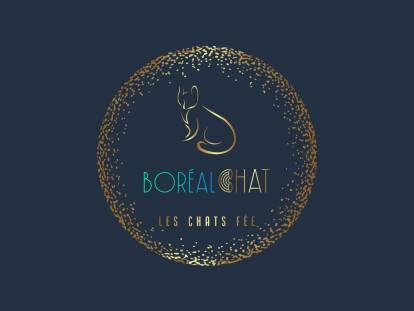 BoréalChat
