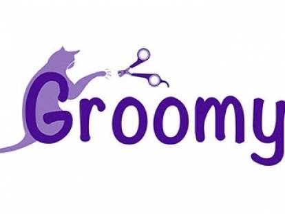 Groomy Cat