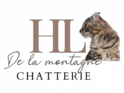 Highland Lynx de la Montagne