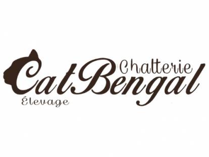 CatBengal