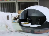 Comment nourrir son chat automatiquement avec Catspad