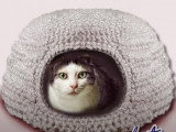 Un confortable igloo à chat réalisé au crochet