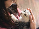 Une femme fait un câlin à un chat
