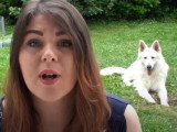 Le végétarisme est-il adapté aux chiens et aux chats ?