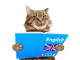 Le langage chez le chat