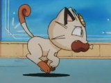 Pourquoi Miaouss a-t-il appris à parler dans la série animée « Pokémon » (1997) ?
