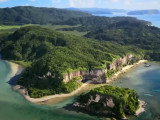 Les chats sauvages de l'île d'Iriomote, au Japon