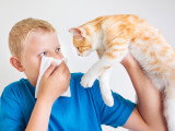 Un enfant tient un mouchoir devant son nez à cause d'un chat