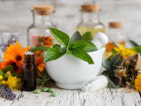 Des fleurs et plantes utilisées en naturopathie