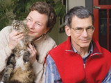 Garde du chat en cas de divorce : que dit la loi ?