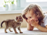 Une enfant allongée par terre regardant un chaton