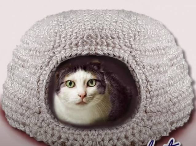 Un Confortable Igloo A Chat Realise Au Crochet Video