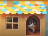 Do It Yourself (DIY) :  maison pour chat