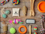 Des accessoires pour chat étalés sur une table