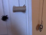 Fabriquer des jouets pour chat avec du papier toilette