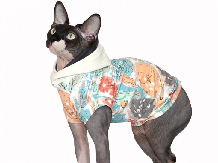Le polo pour chat, un accessoire de mode fashion