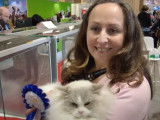 Rencontre avec une éleveuse de chats Ragdoll lors du salon de l'agriculture 2022