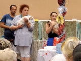 Présentation de la race Bobtail du Mékong à une exposition féline