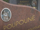 Le cimetière animalier d'Asnières accueille anonymes et célébrités