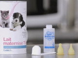 Préparer un biberon de lait maternisé pour chiot ou chaton