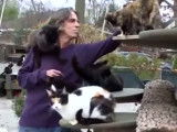 « Happy Cat Sanctuary », une seconde chance pour les chats de Long Island