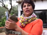 Gloria et ses chats, un rayon de soleil au cœur de l’hiver