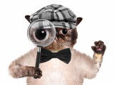Un chat avec un béret et une loupe