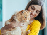 Une femme tenant un chat dans les bras