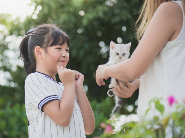 Une petite fille se voit offrir un chaton blanc