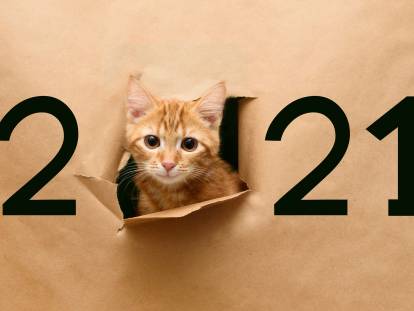 Un chat roux avec un carton sur lequel est inscrit 2021