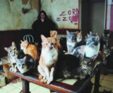 Normandie : La maison aux chats