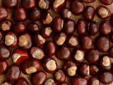 Plein de marrons sur un sac en tole