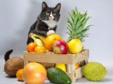 Un chat noir et blanc sur une cagette pleine de fruits