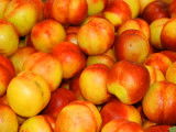 Des nectarines