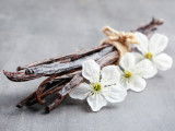 Des gousses de vanille et des fleurs d'orchidée sur un fond gris