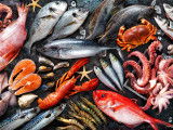 Toutes sortes de poissons disposés sur un fond noir
