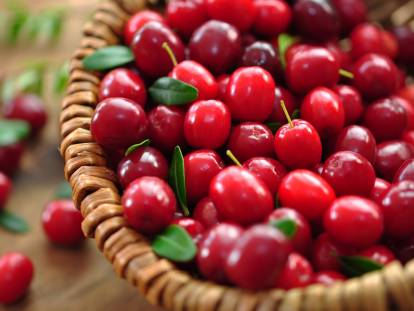 Un panier en osier rempli de cranberries