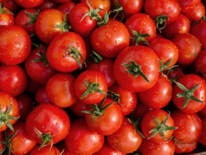Un tas de tomates