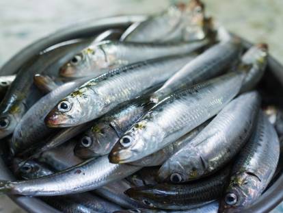 Une assiette contenant des sardines fraîches