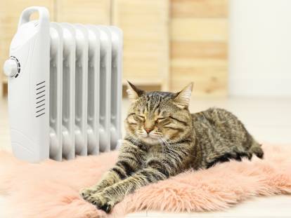 Un chat tranquille installé à côté d'un radiateur