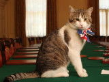 David Cameron part sans emmener Larry, le chat du ministère