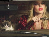 Grumpy Cat poursuit sa carrière chez Opel