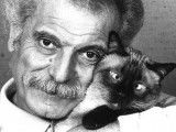 Les chats de George Brassens